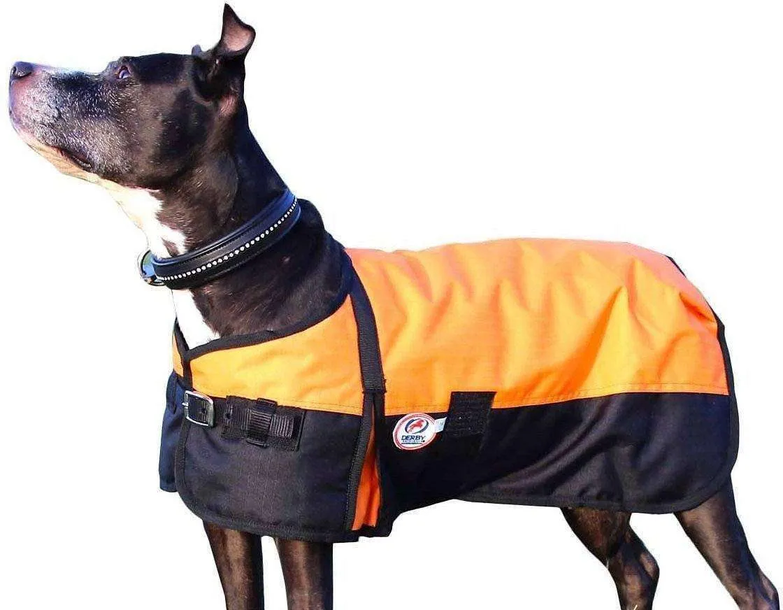 Derby Originals Two-Tone Horse-Tough 600D Waterproof Ripstop Nylon Winter Dog Coat 150g Polyfil with One Year Warranty