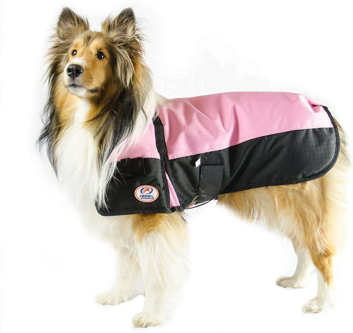 Derby Originals Two-Tone Horse-Tough 600D Waterproof Ripstop Nylon Winter Dog Coat 150g Polyfil with One Year Warranty