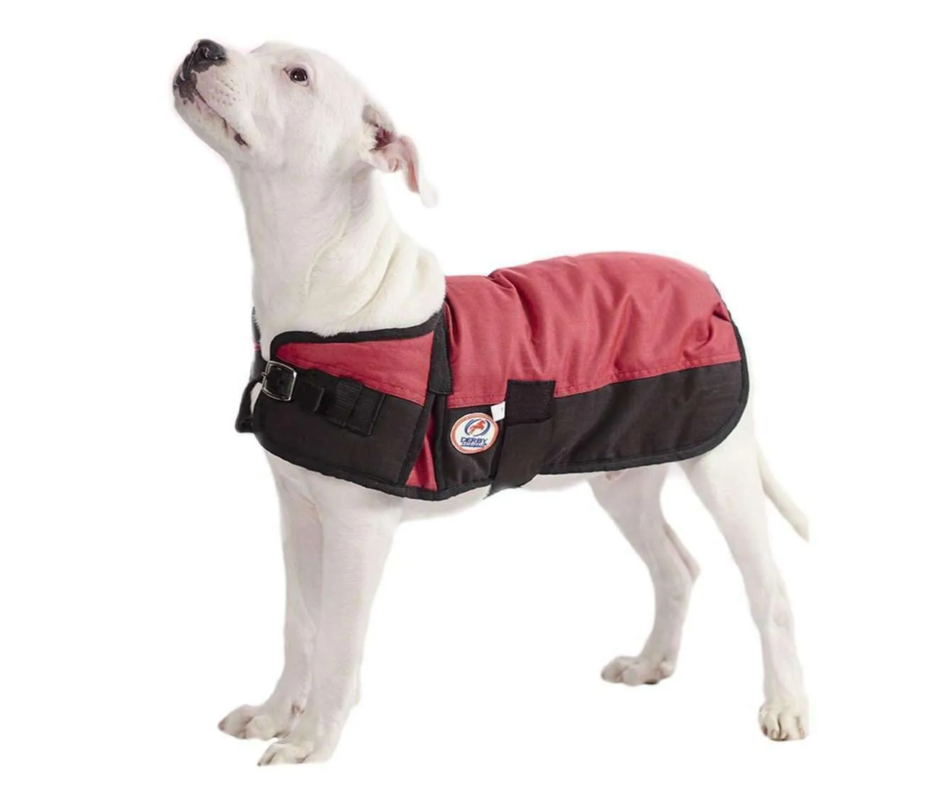 Derby Originals Two-Tone Horse-Tough 600D Waterproof Ripstop Nylon Winter Dog Coat 150g Polyfil with One Year Warranty