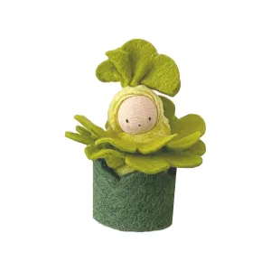 Fairyshadow Lettuce Baby in Grass Cozy