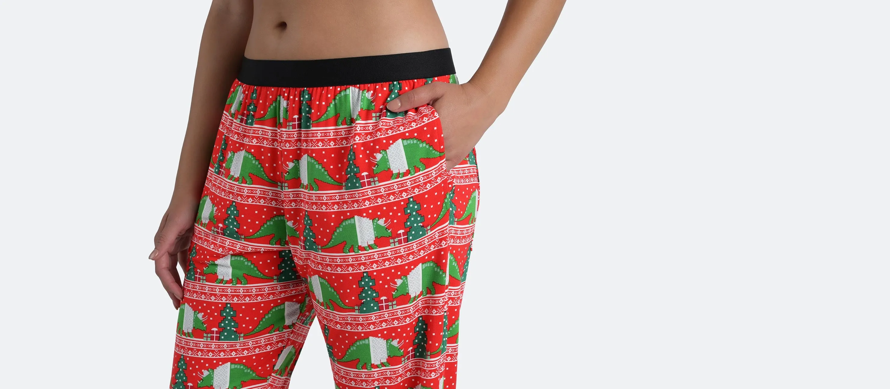 Women's Lounge Pants | Cozy Dino